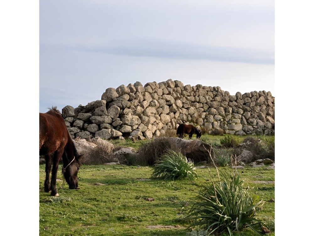 Barumini Unesco Site and Giara of Gesturi Tour from Cagliari