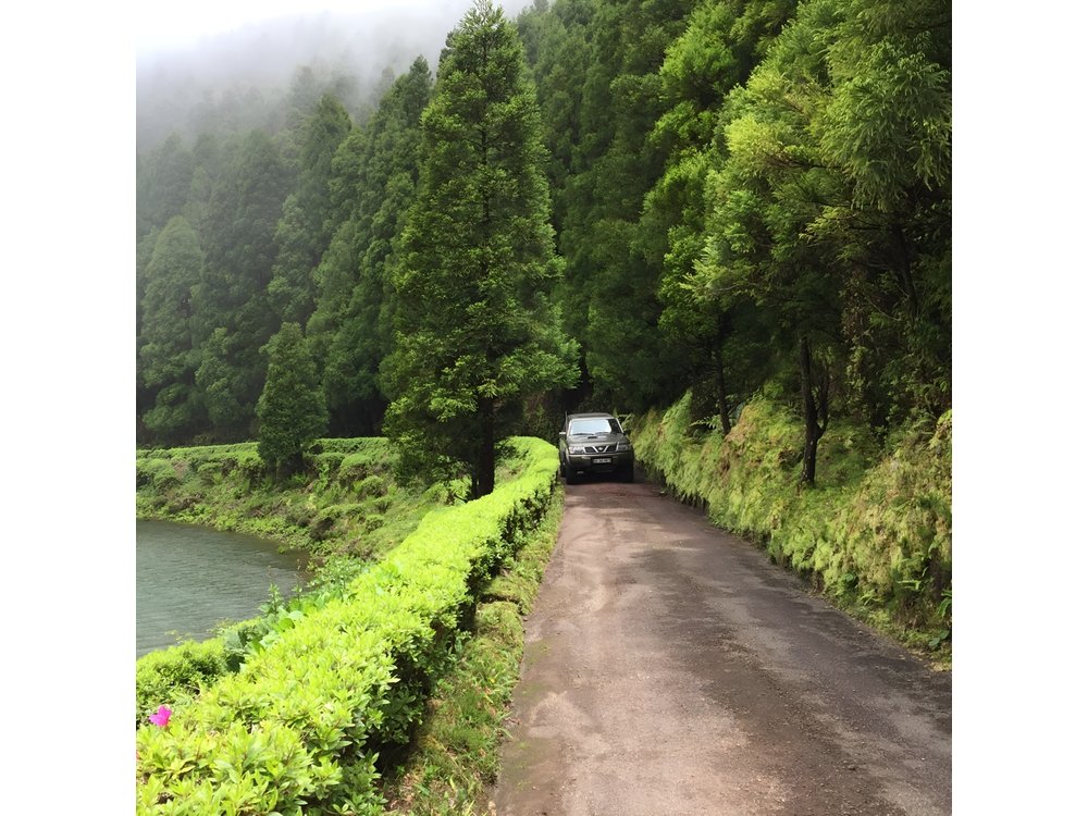 Seize your day in São Miguel with a 4x4 private tour