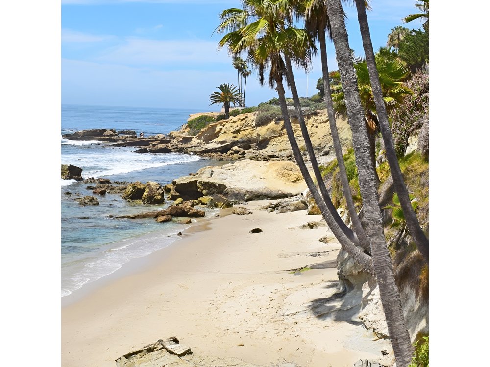 Whale-Watching and Orange County Beaches Tour from Anaheim