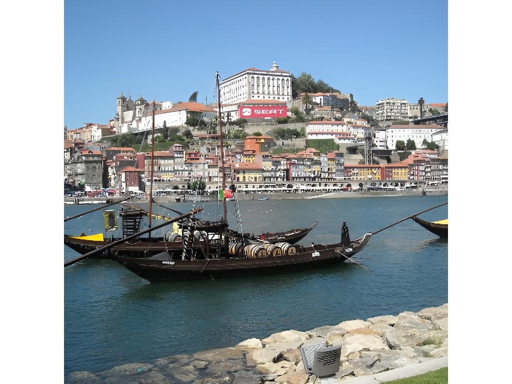 Private Porto from Lisbon with Portuguese lunch and Porto wine tasting