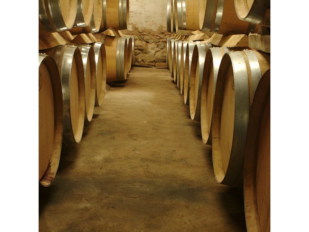Full-day Wine Tour in Bellet & Saint-Paul de Vence from Nice