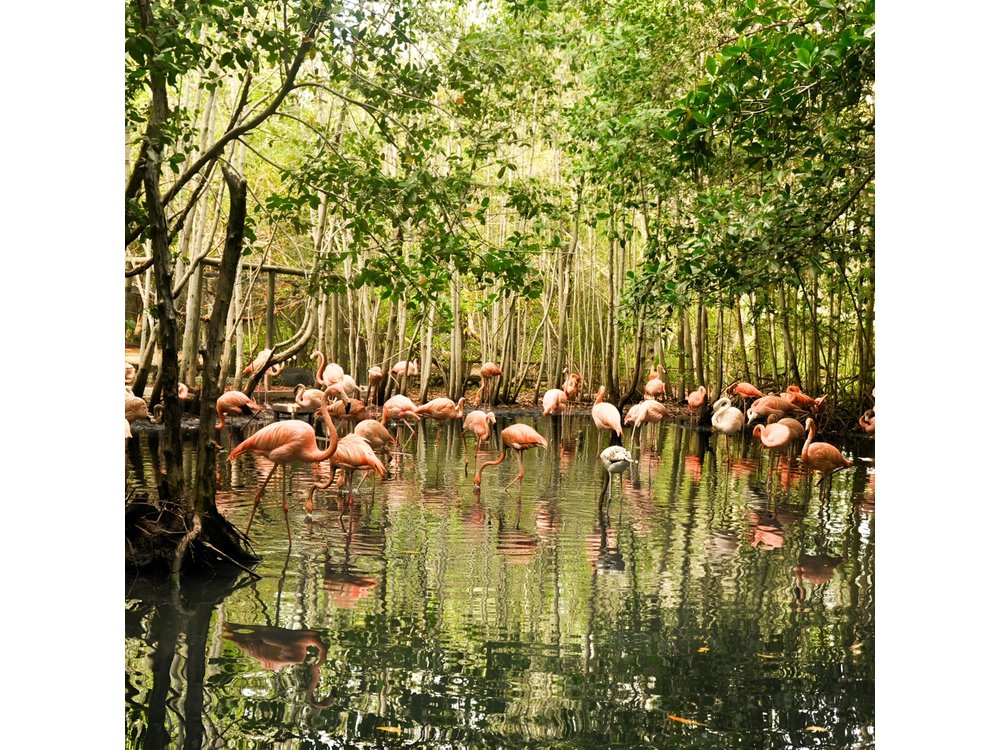National Aviary private from Cartagena
