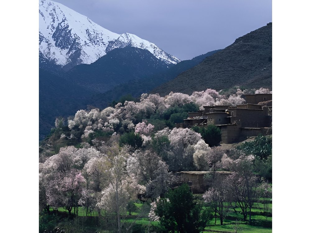 Private Day Trip to the High Atlas Mountains from Marrakech