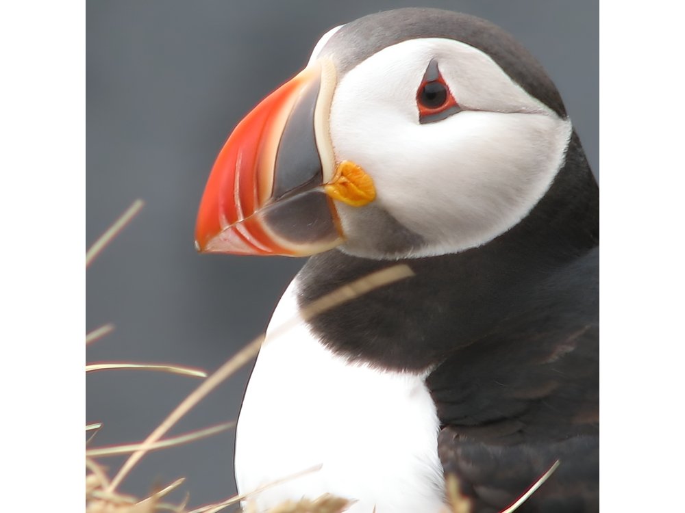 Private Day Trip to the Icelandic South Coast from Reykjavik