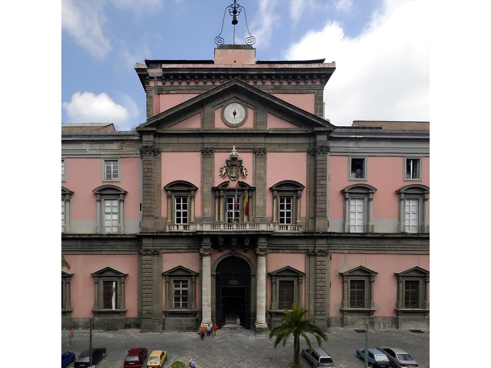 Tour of the Archaeological Museum of Naples