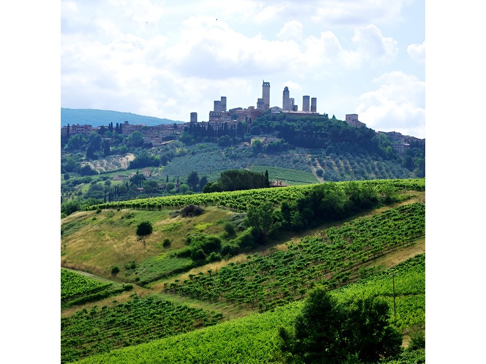 San Gimignano and Chianti Classico Wine and Food PRIVATE TOUR from SIENA