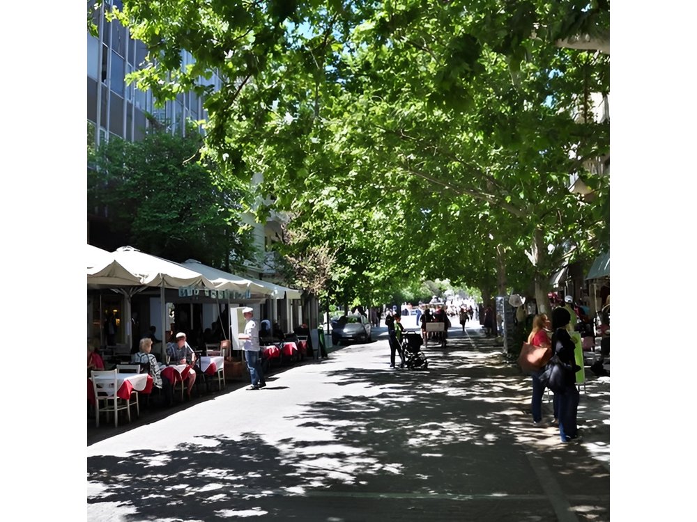 Athens Private 5 hours Walking Tour