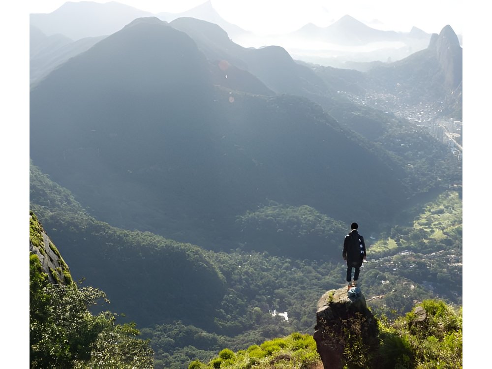 Tijuca Rainforest Hiking Tour in Rio de Janeiro