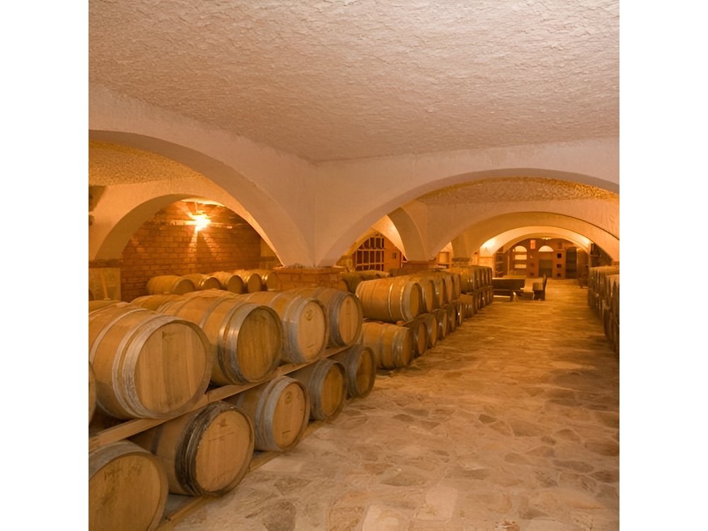 Peljesac Wine Private Day Trip from Dubrovnik