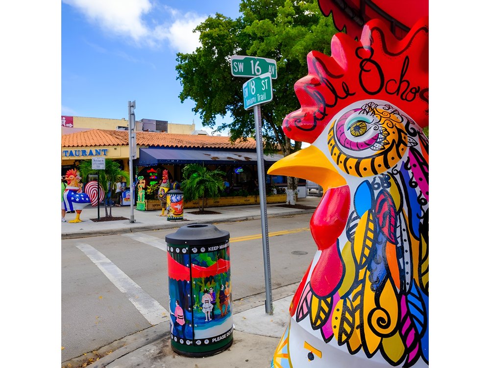 Miami City and Boat Tour Little Havana Included Plus FREE Bike Rental in SoBe