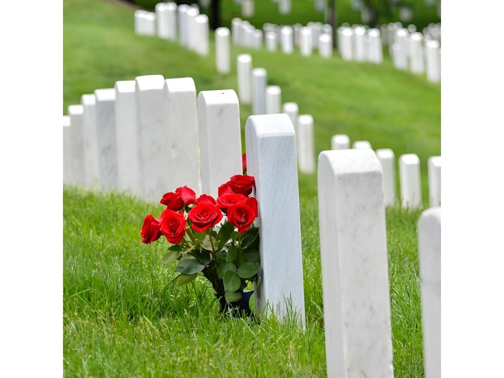 Private Tour of Washington, DC by Van to Honor Our Heroes