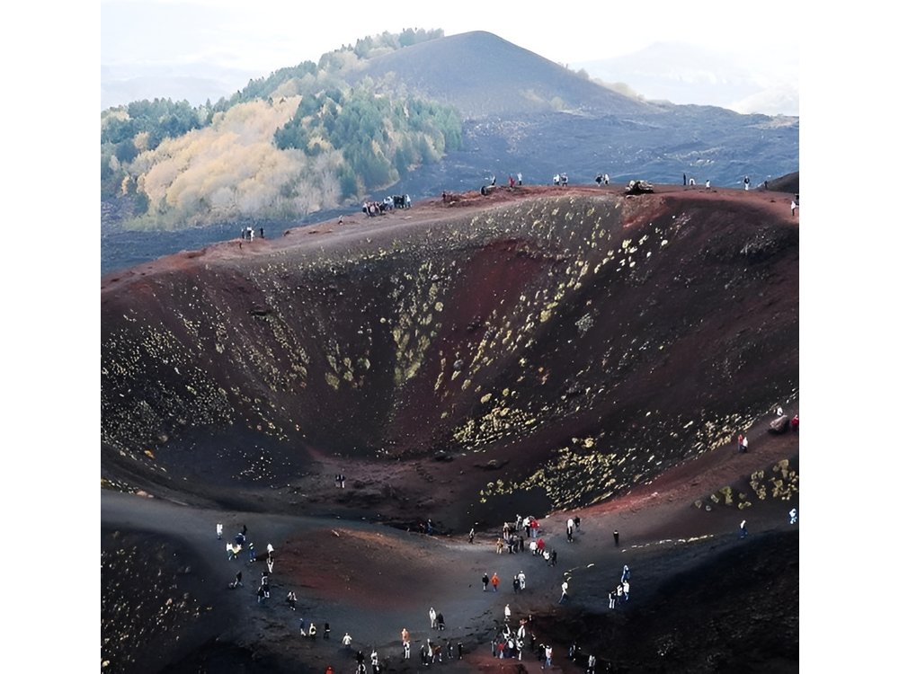 From Catania: Private Etna +Tasting 4 Wines Lunch in the Cellar