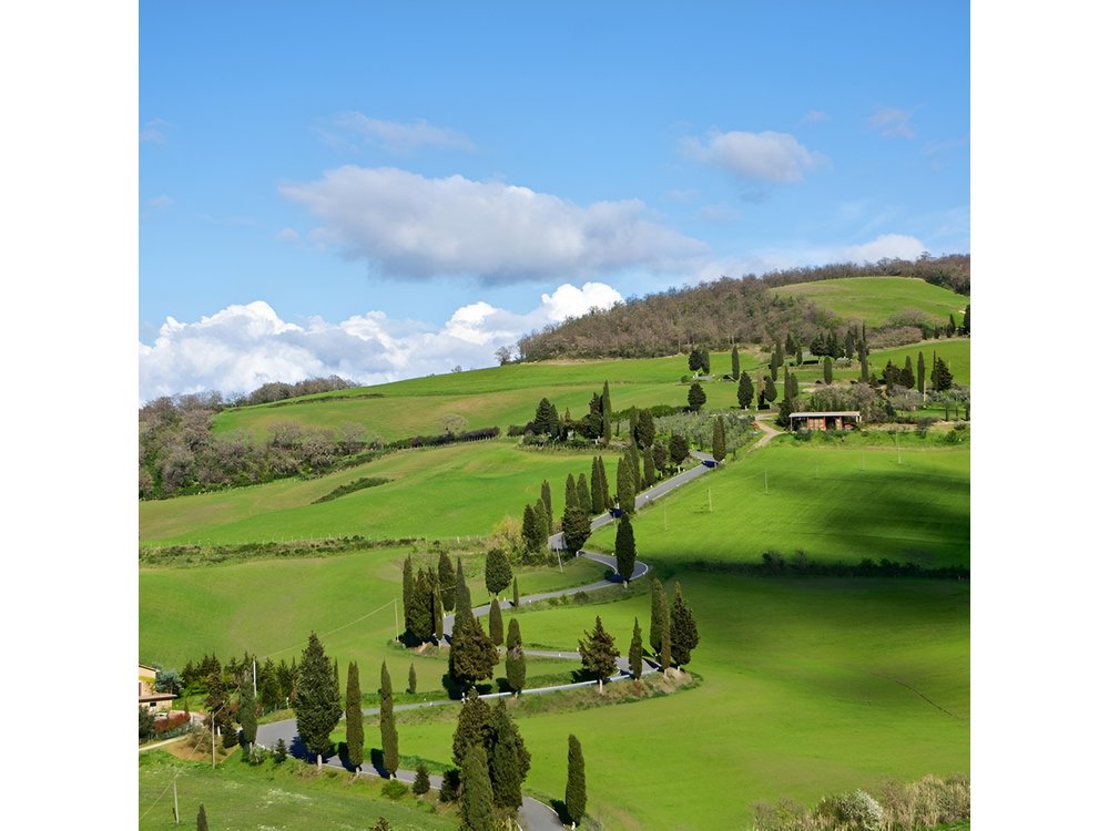Private Tuscany Wine Experience from Rome: Montepulciano & Pienza