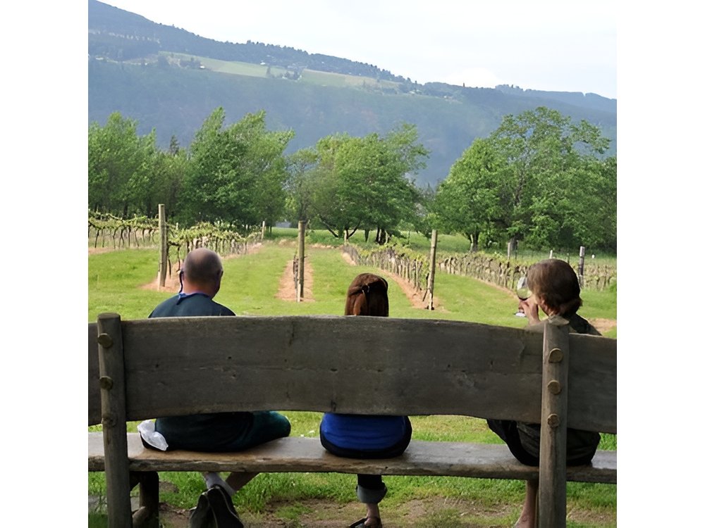 Columbia Gorge Waterfalls & Wineries from Portland: All-Inclusive Afternoon Tour