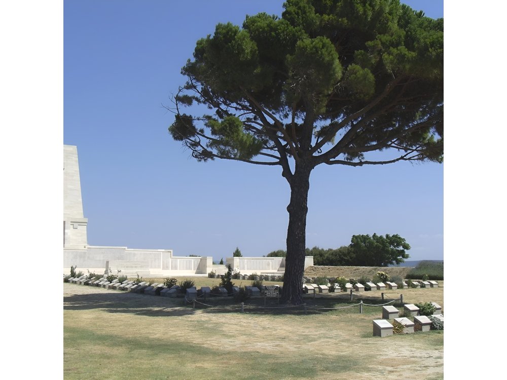 Small-Group Full Day Gallipoli & ANZAC Battlefields from Istanbul
