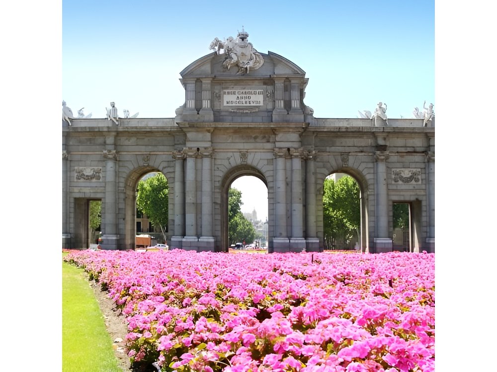 Private Tour: Madrid City Tour
