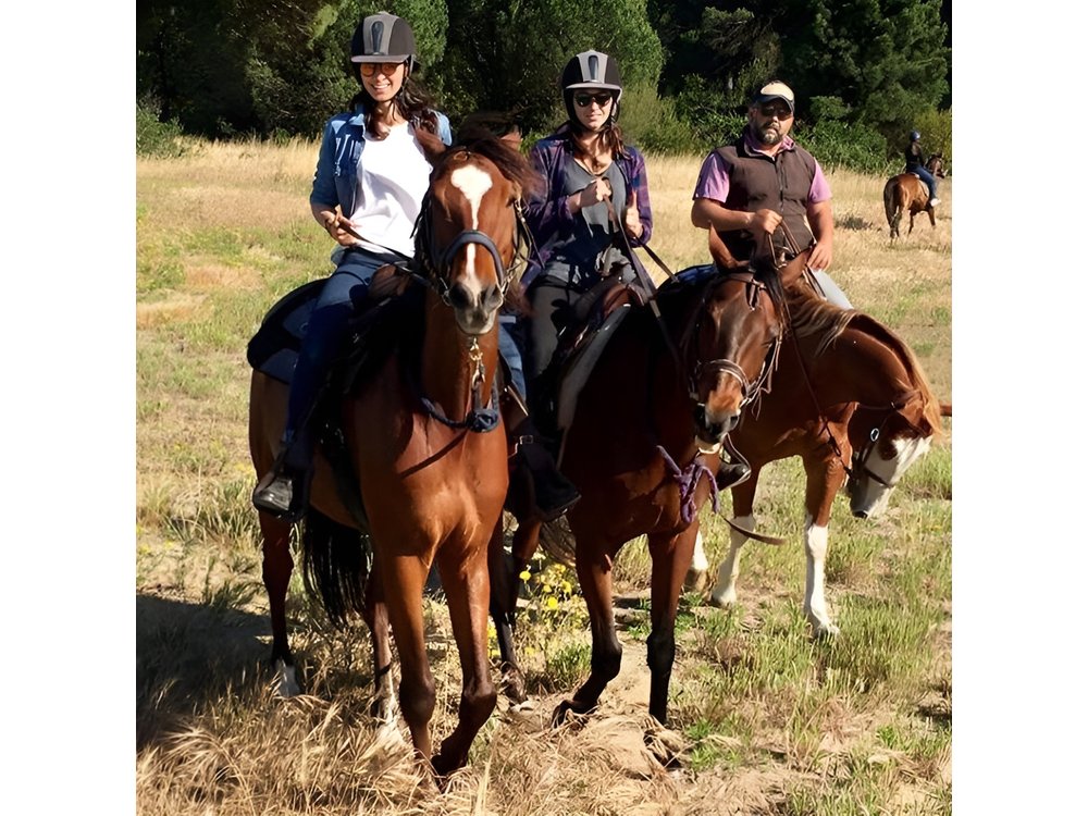 Rome : Horseback Riding with meals and wine included