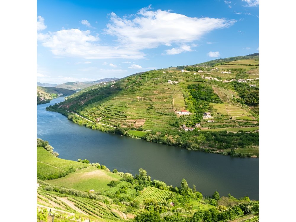 Douro Valley private tour with wine tasting and boat tour