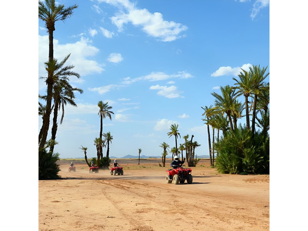 Marrakech Desert and Palm Grove Quad Bike Tour
