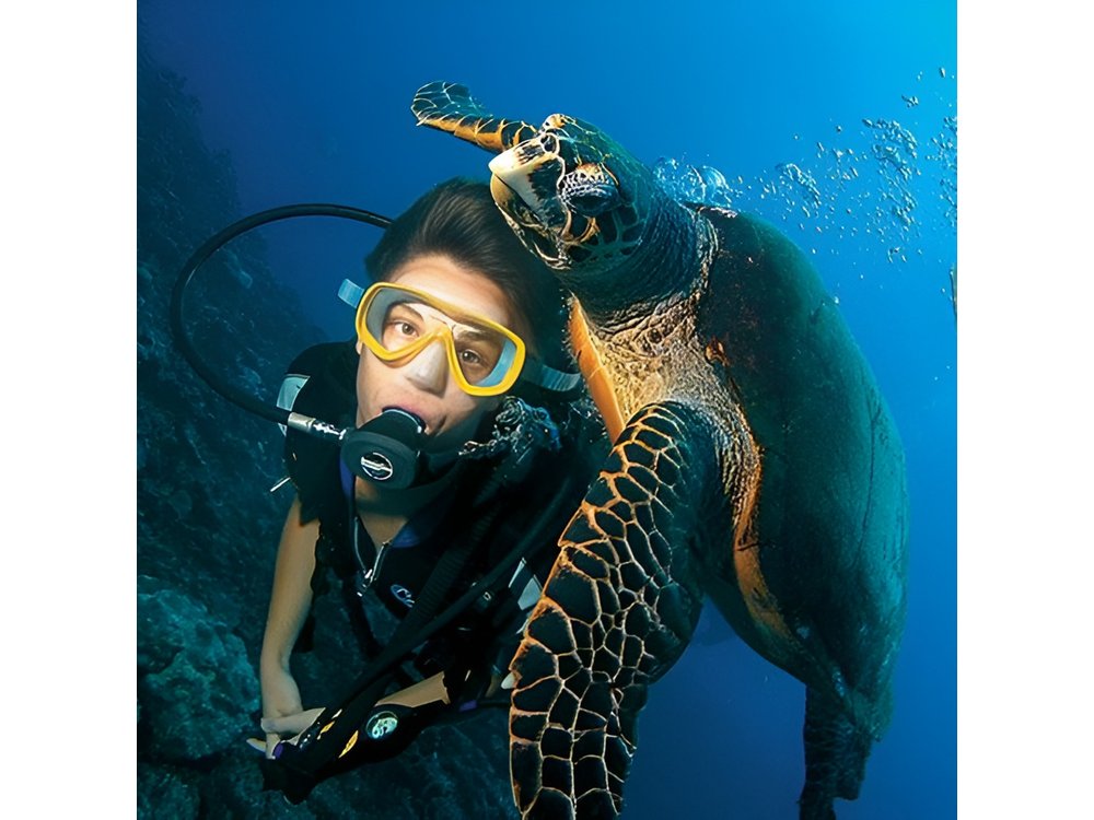 Antalya Scuba Diving W/Lunch & Transfers
