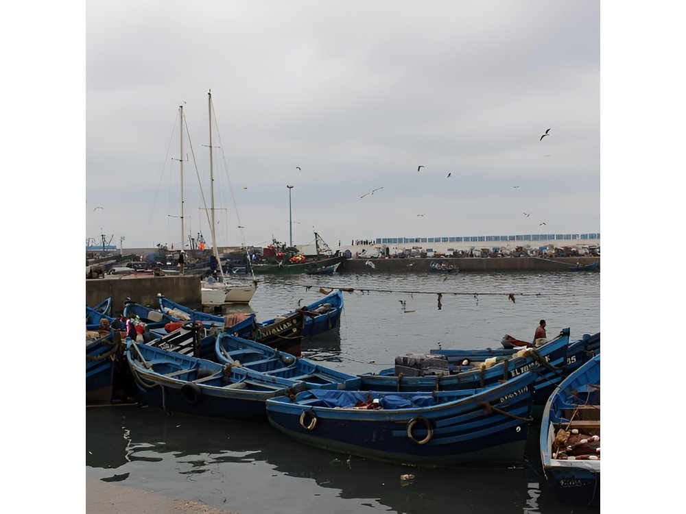 Private Day trip from Marrakech to Essaouira