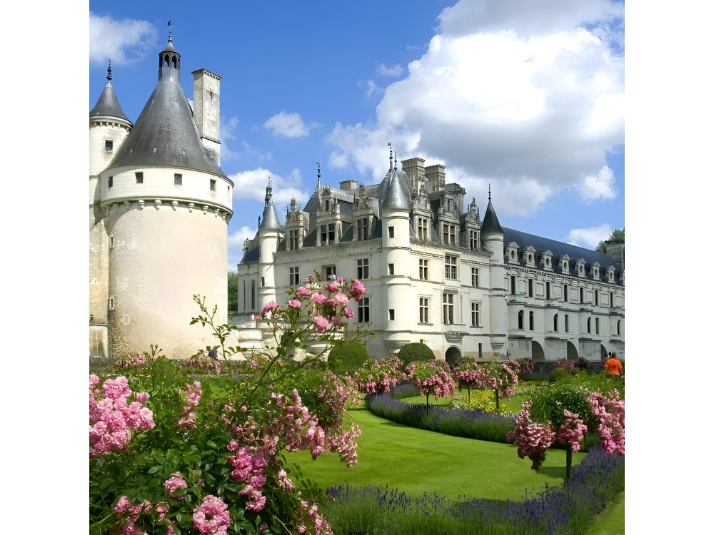 Loire Valley Castles Private Day Trip from Paris