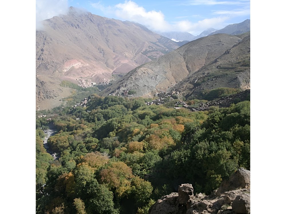 Guided Day Trip to Atlas Mountains from Marrakech