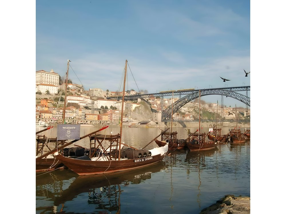 Porto Private Tour from Lisbon