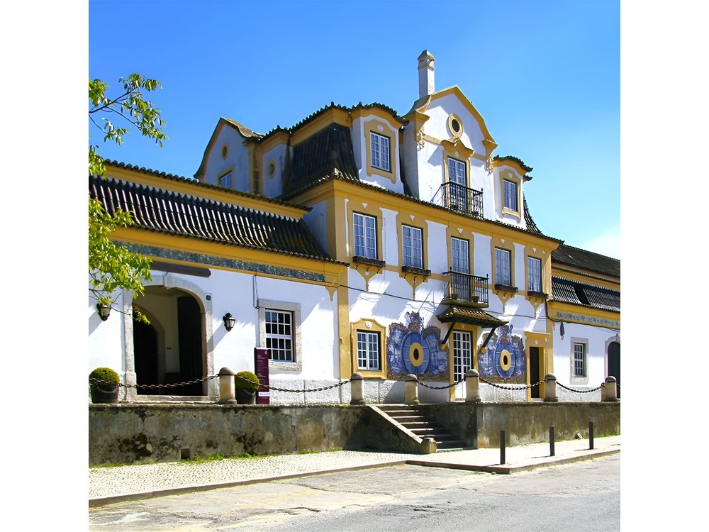 Setúbal Peninsula Private Wine Tour: Sesimbra, Azeitão and Arrábida