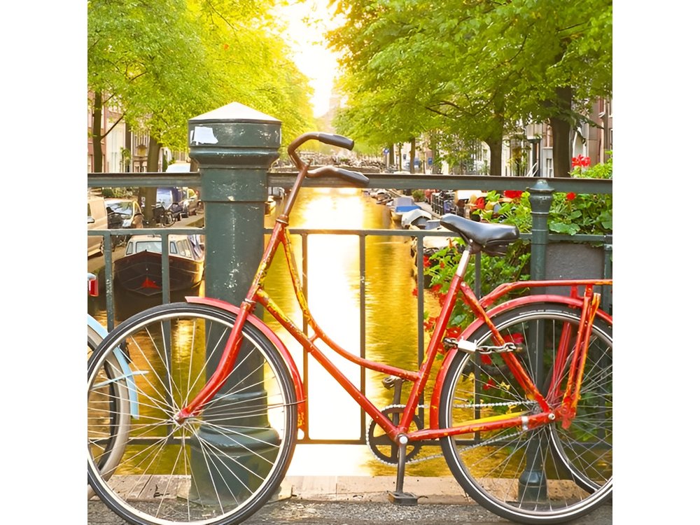 Amsterdam City Center Guided Walking Tour Semi-Private 12ppl Max