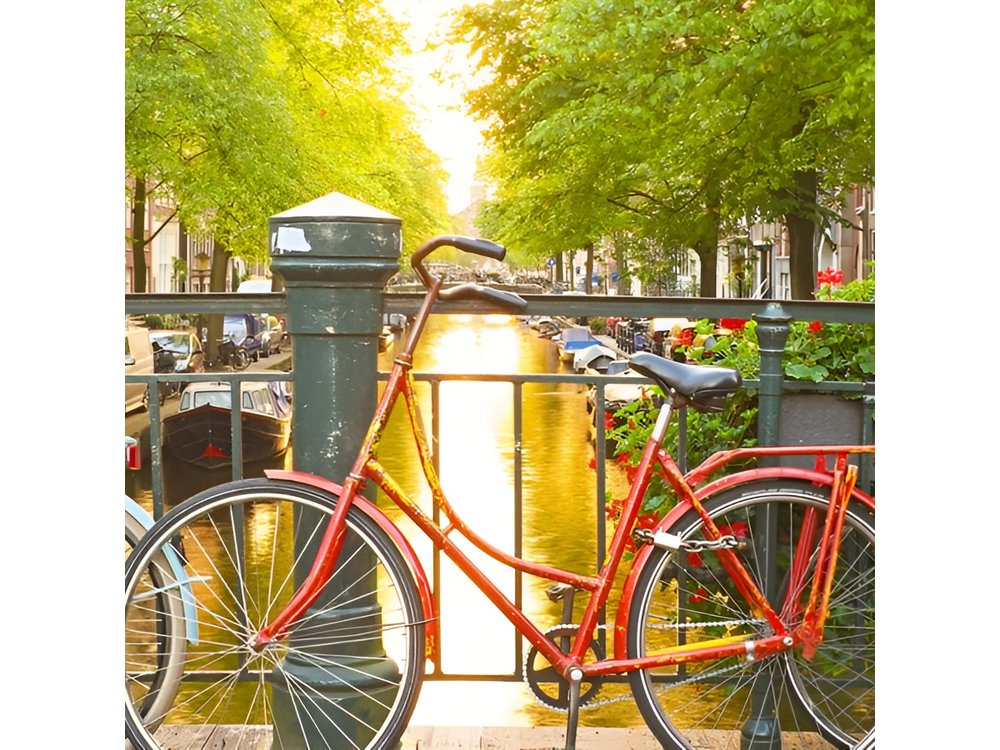 Amsterdam City Center & History - Exclusive Guided Walking Tour