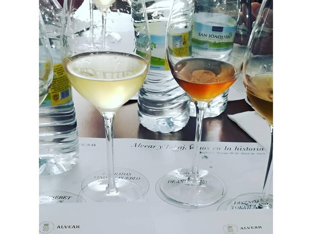 Evening Wine Tasting Córdoba
