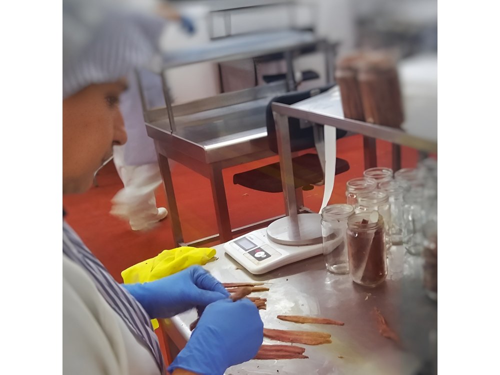Santoña and Anchovy Factory tour from Santander - small groups