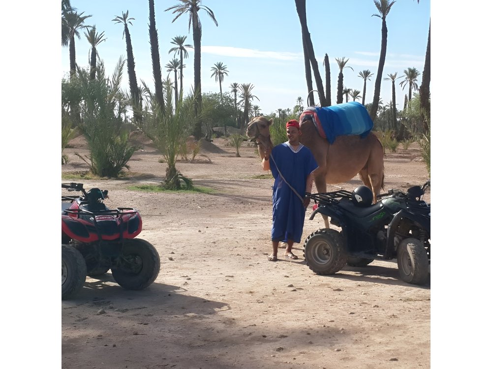 2-Hour Quad Bike & Camel Ride in Marrakech Palmeraie
