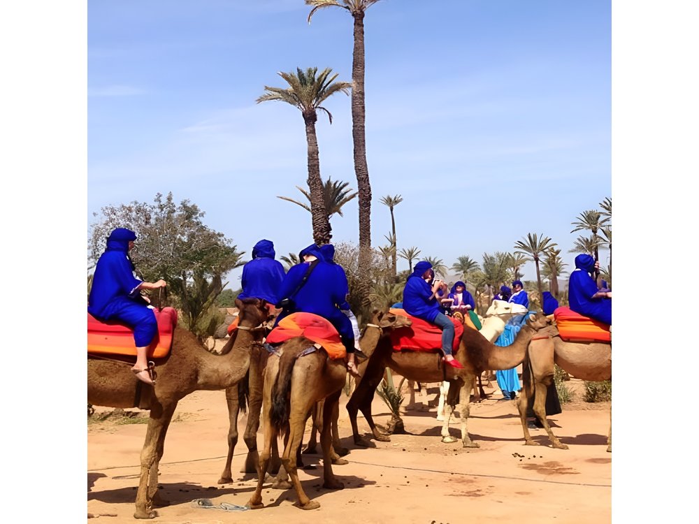 Marrakech activities: Camel ride tour Marrakech