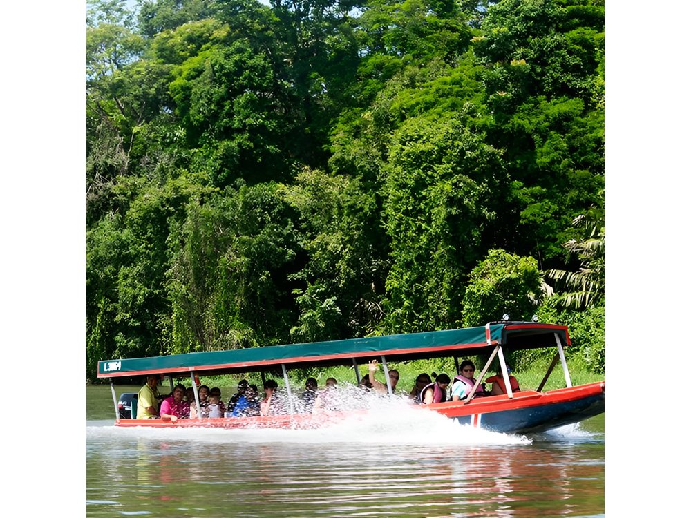 Tortuguero National Park Eco Adventure Canoe Tour from San Jose