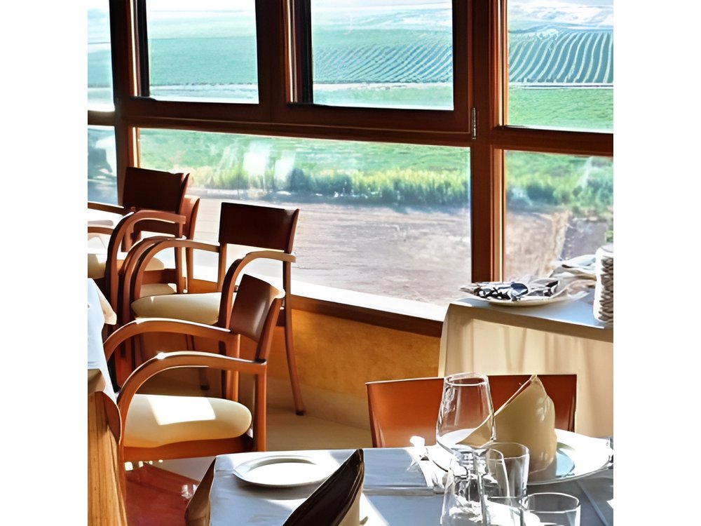 Madrid Wineries Private Tour with Hotel Pickup and Lunch