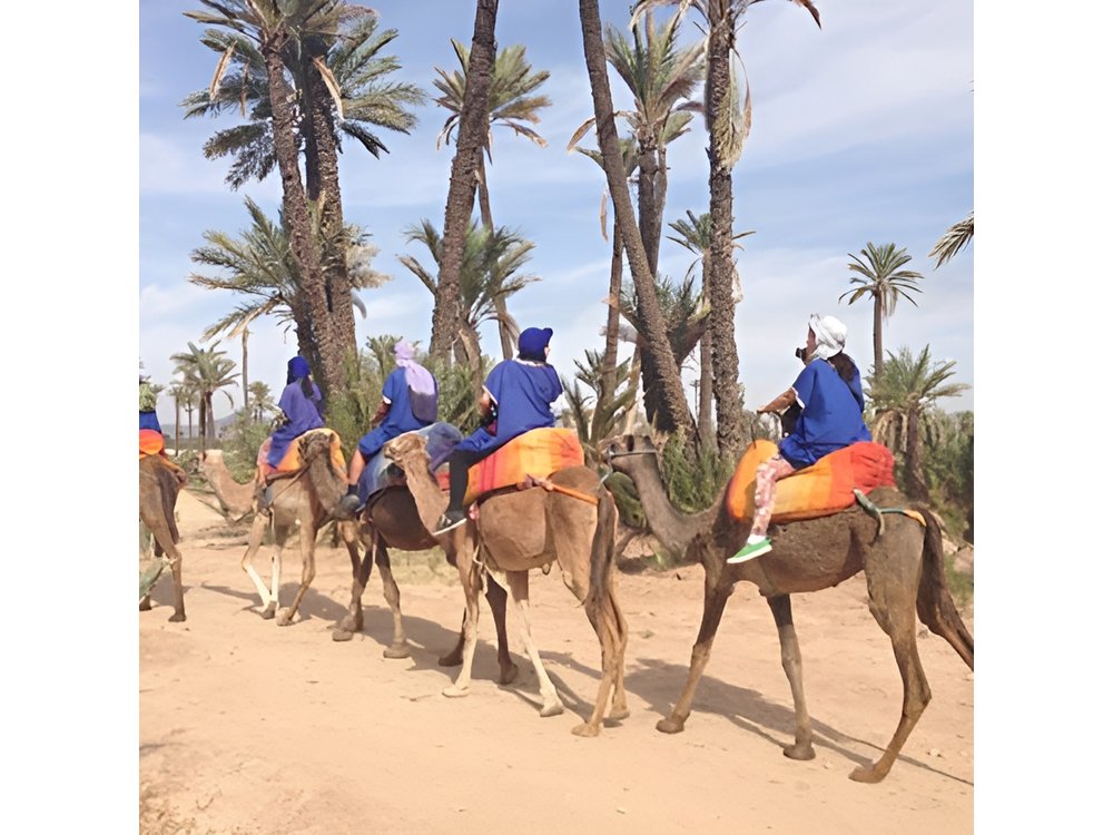 Marrakech Camel Ride Experience with Pick-up