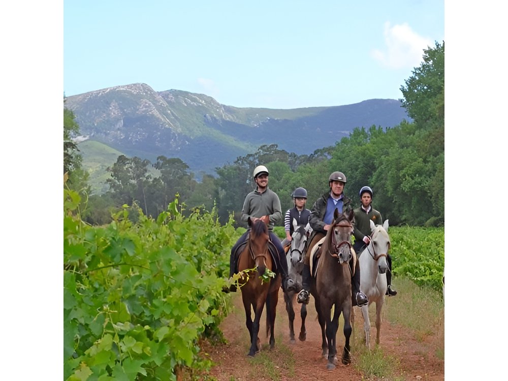 Horseback Riding In Lisbon - Arrábida - Louro Trail Mountain 5 - 6 Hours
