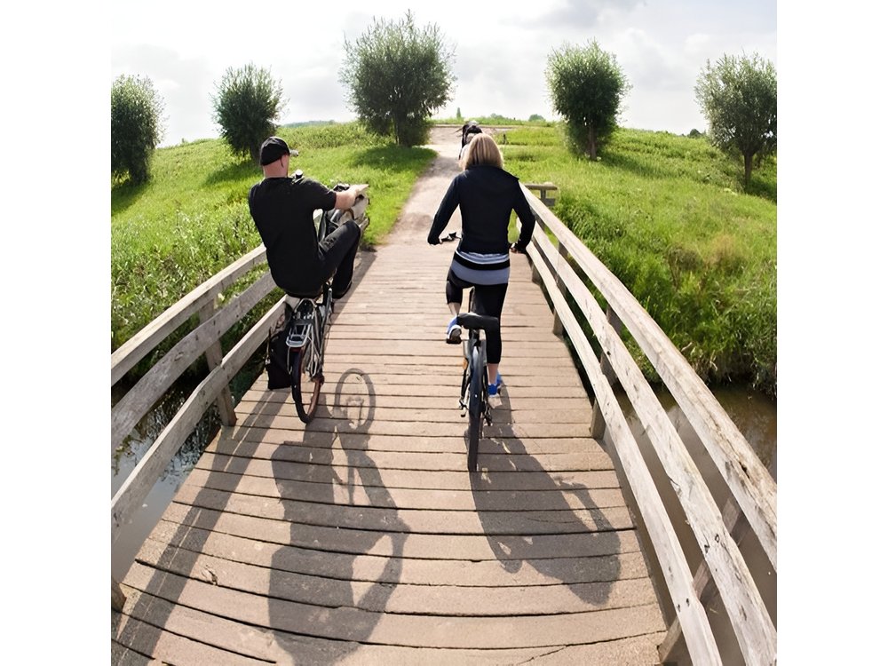 Cheese, Canals & Windmill Countryside E-Bike Tour Amsterdam