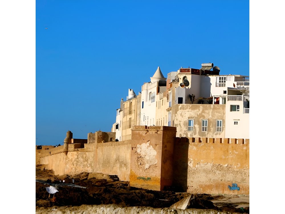 Private Day Trip to Essaouira from Marrakech including 1h-camel