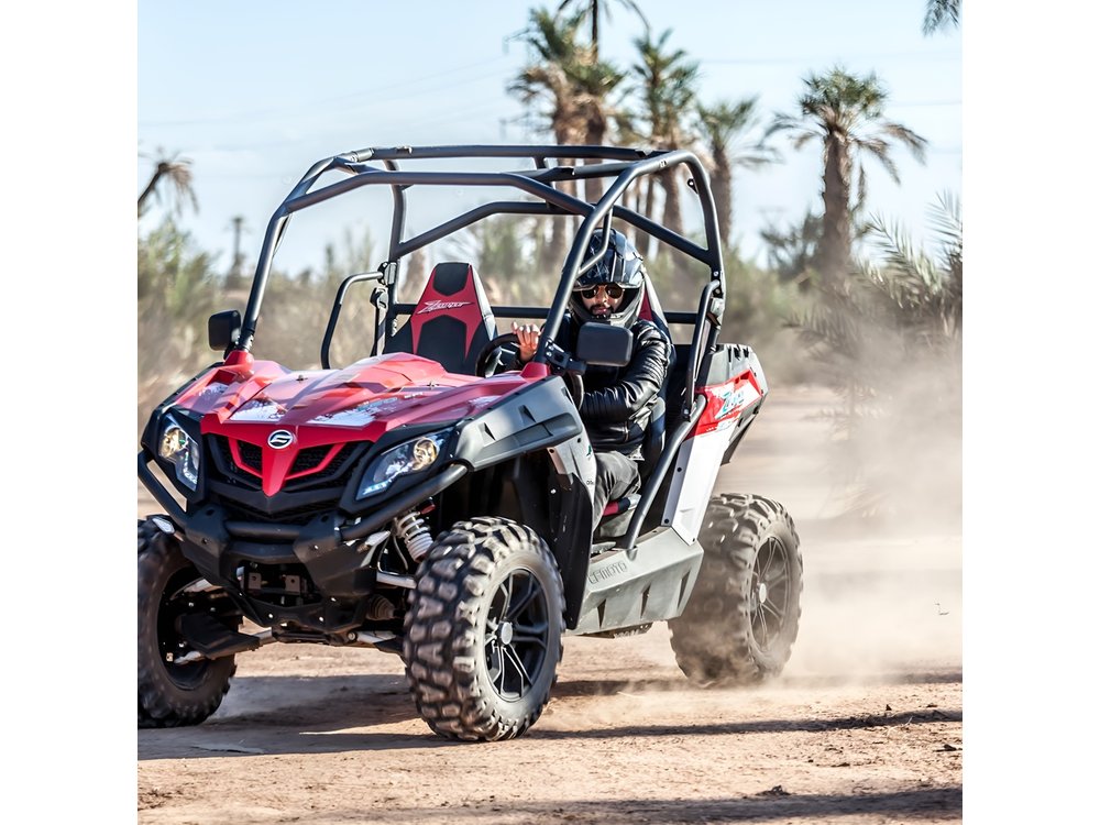 Marrakech: Buggy Tour in the Palmgroves