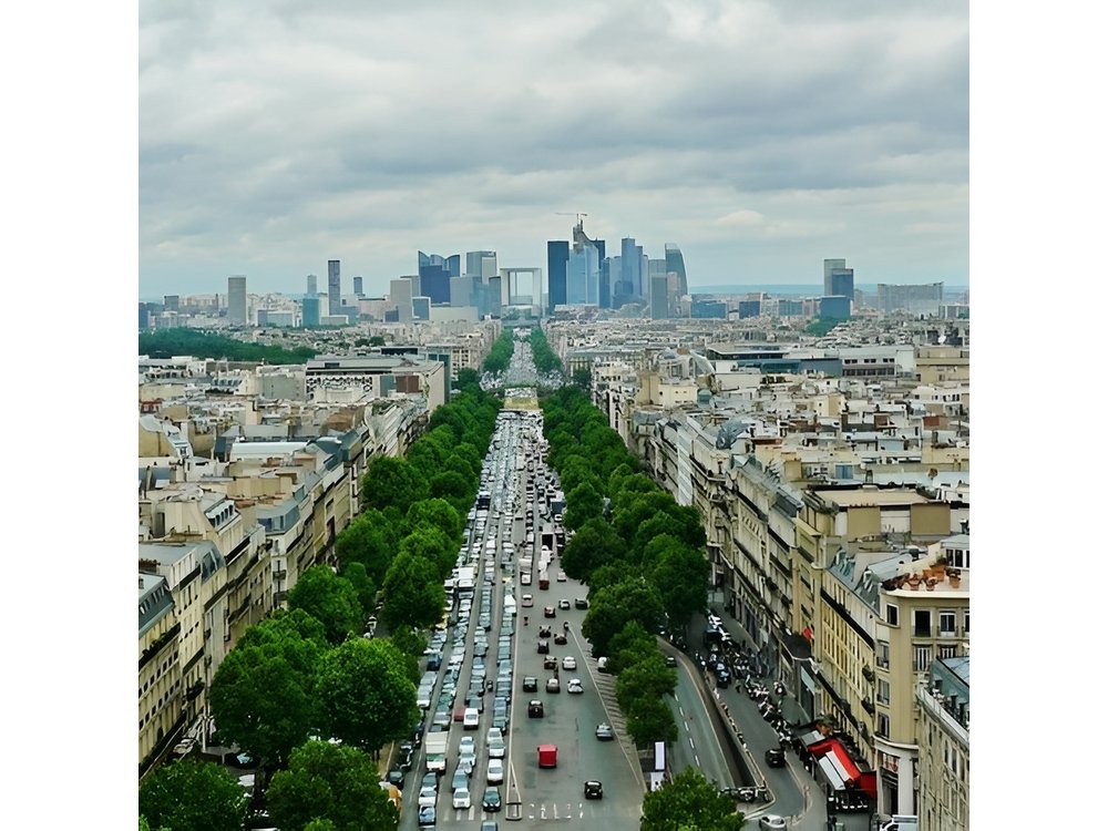 Private 4-hour city tour of Paris with driver and official guide