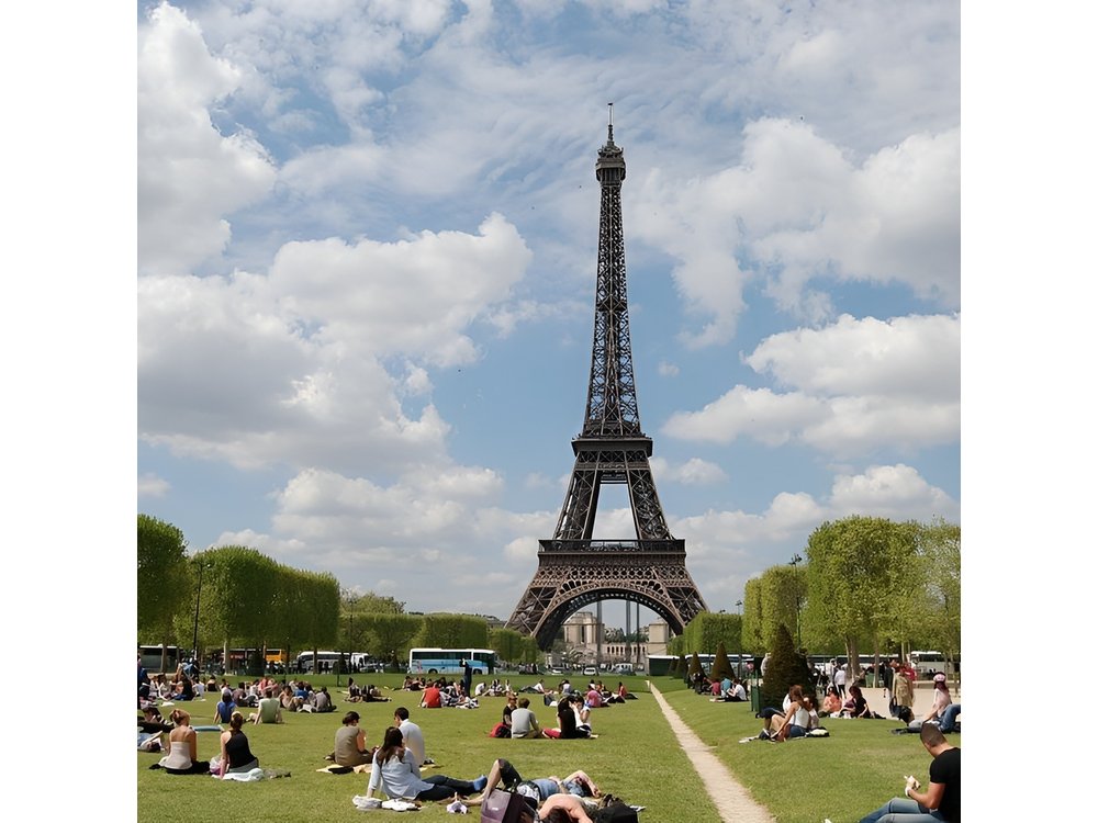 Private 8-hour city tour of Paris with driver and official guide - Hotel pick up