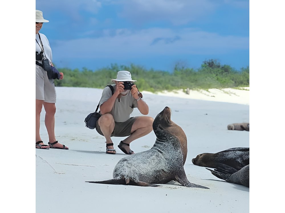 5 Days Galapagos Tour: Santa Cruz and Isabela Islands