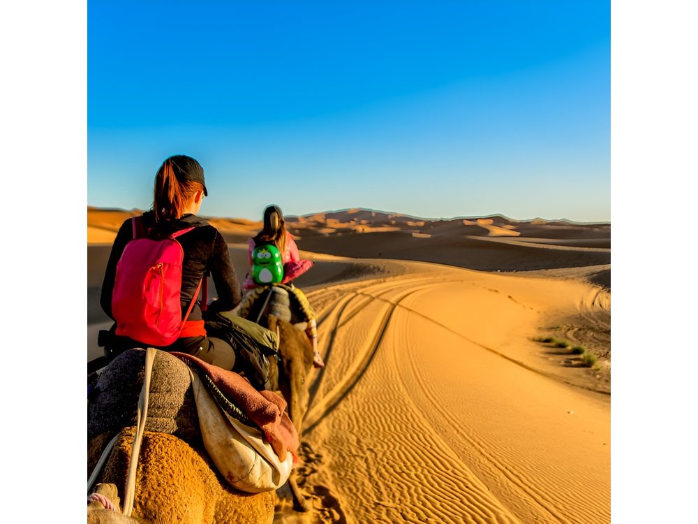 2 Days 1 Night To Zagora Desert From Marrakech