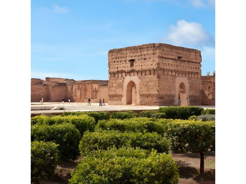 Top Activities : Half day guided walking tour in Marrakech with official guide