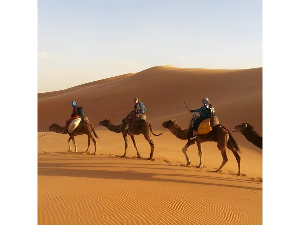 3-Day Private Desert Tour from Marrakech to Fez