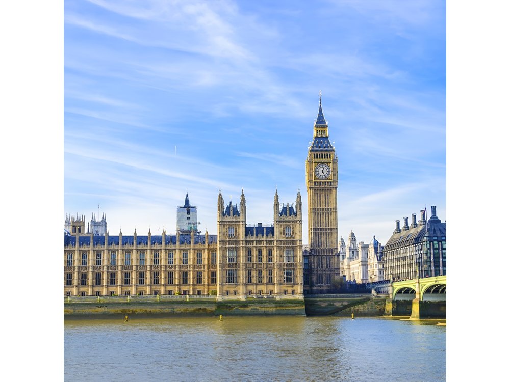 Private Tour to Westminster Abbey with optional Houses of Parliament in London