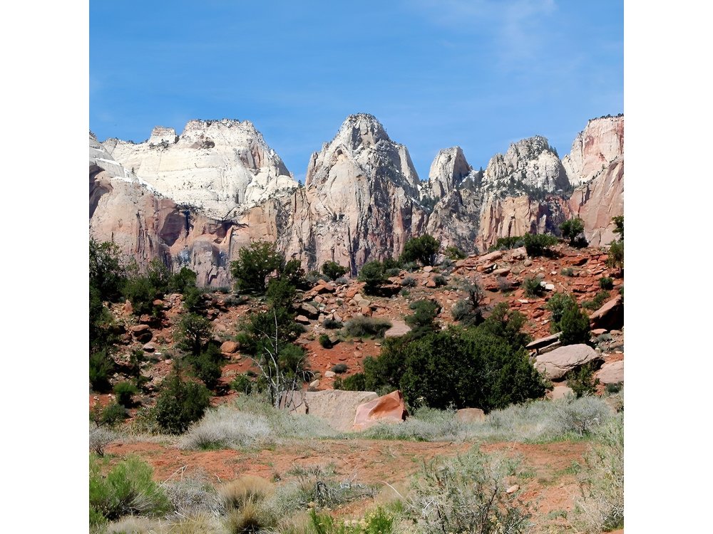 Small-Group Zion National Park Day Tour from Las Vegas